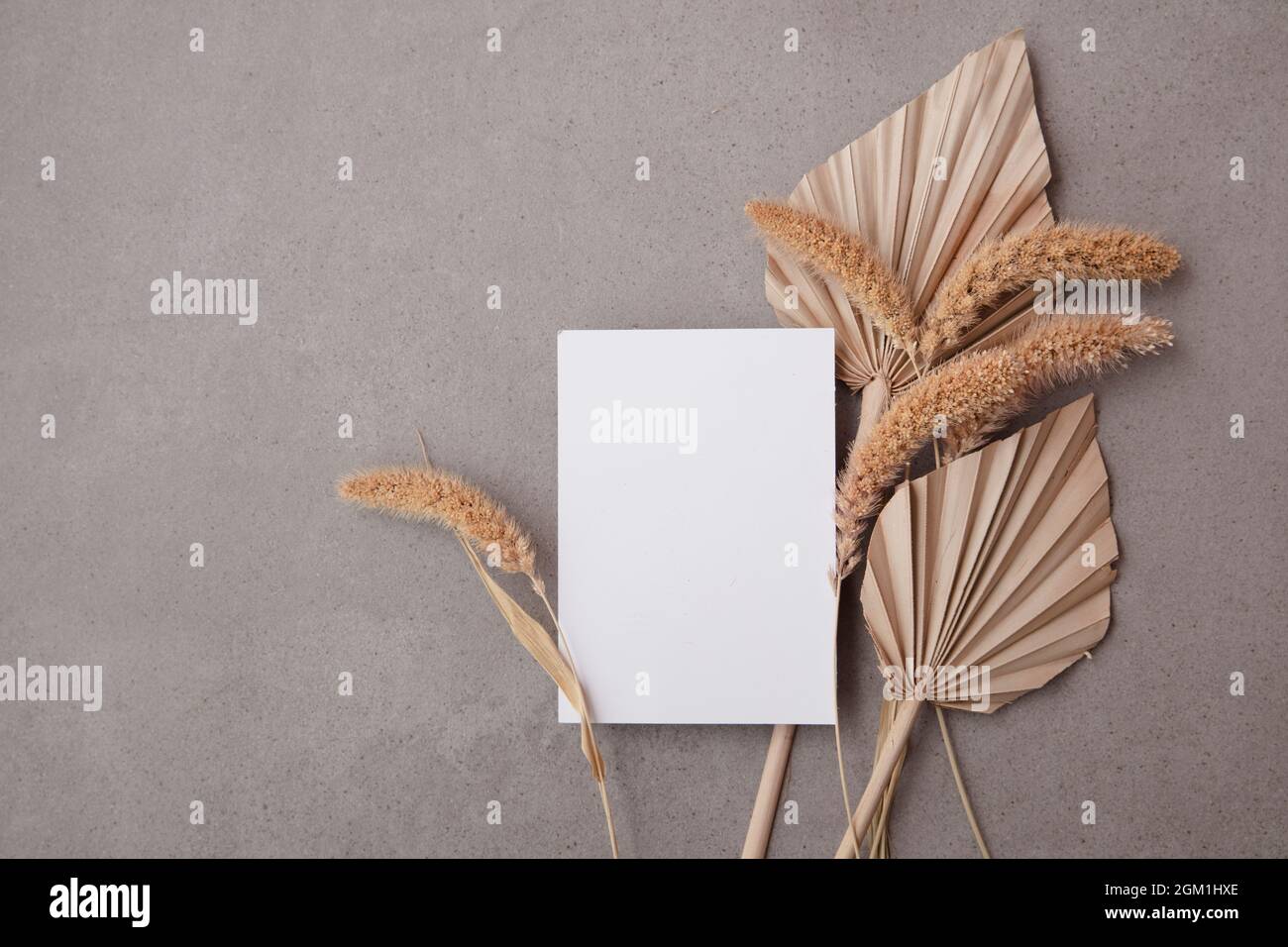 Carte d'invitation vierge bohémien entourée de feuilles de palmier séchées naturelles et de graminées. Mariage et célébration Banque D'Images