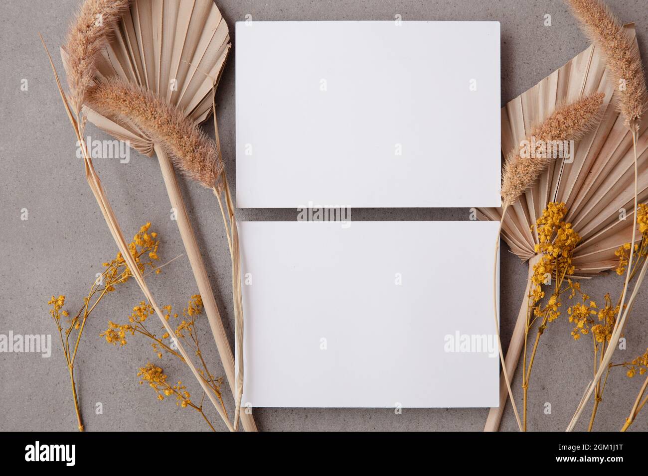 Carte d'invitation vierge bohémien entourée de feuilles de palmier séchées naturelles et de graminées. Mariage et célébration Banque D'Images