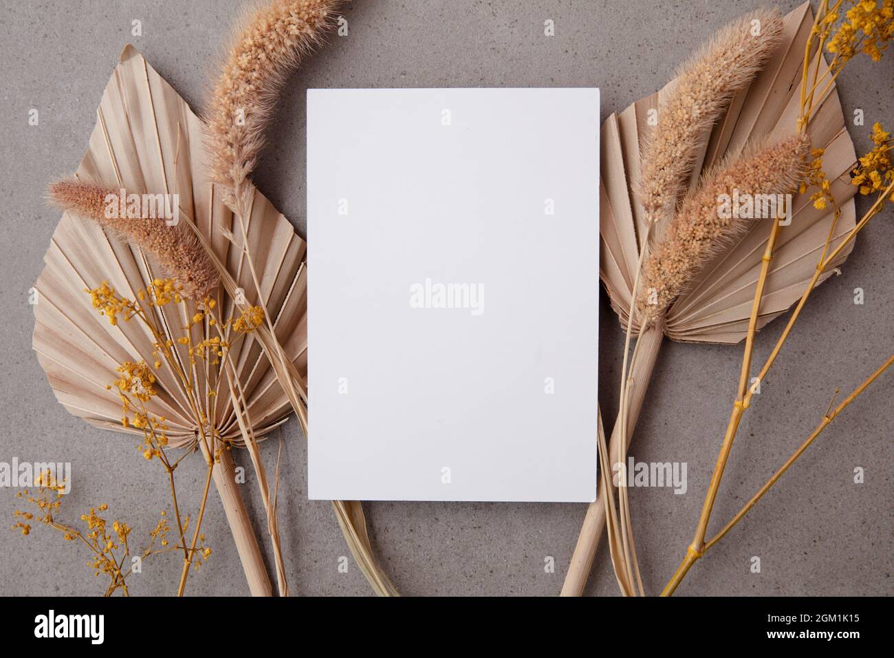 Carte d'invitation vierge bohémien entourée de feuilles de palmier séchées naturelles et de graminées. Mariage et célébration Banque D'Images