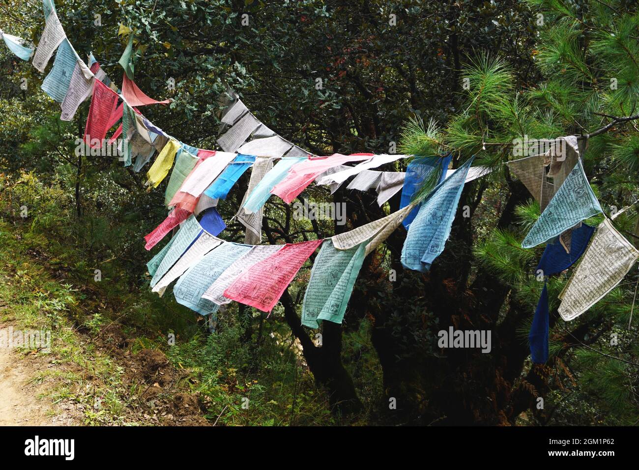 Des rangées de drapeaux de prière colorés se brandent dans la brise le long d'un sentier forestier dans la campagne du Bhoutan. Les légendes retracent l'origine du drapeau de prière vers Bouddha. Banque D'Images