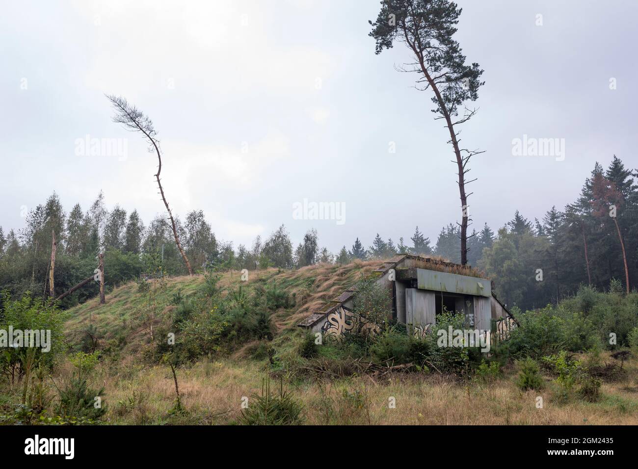 Des bunkers de munitions allemands abandonnés utilisés pendant la guerre froide en Belgique Banque D'Images