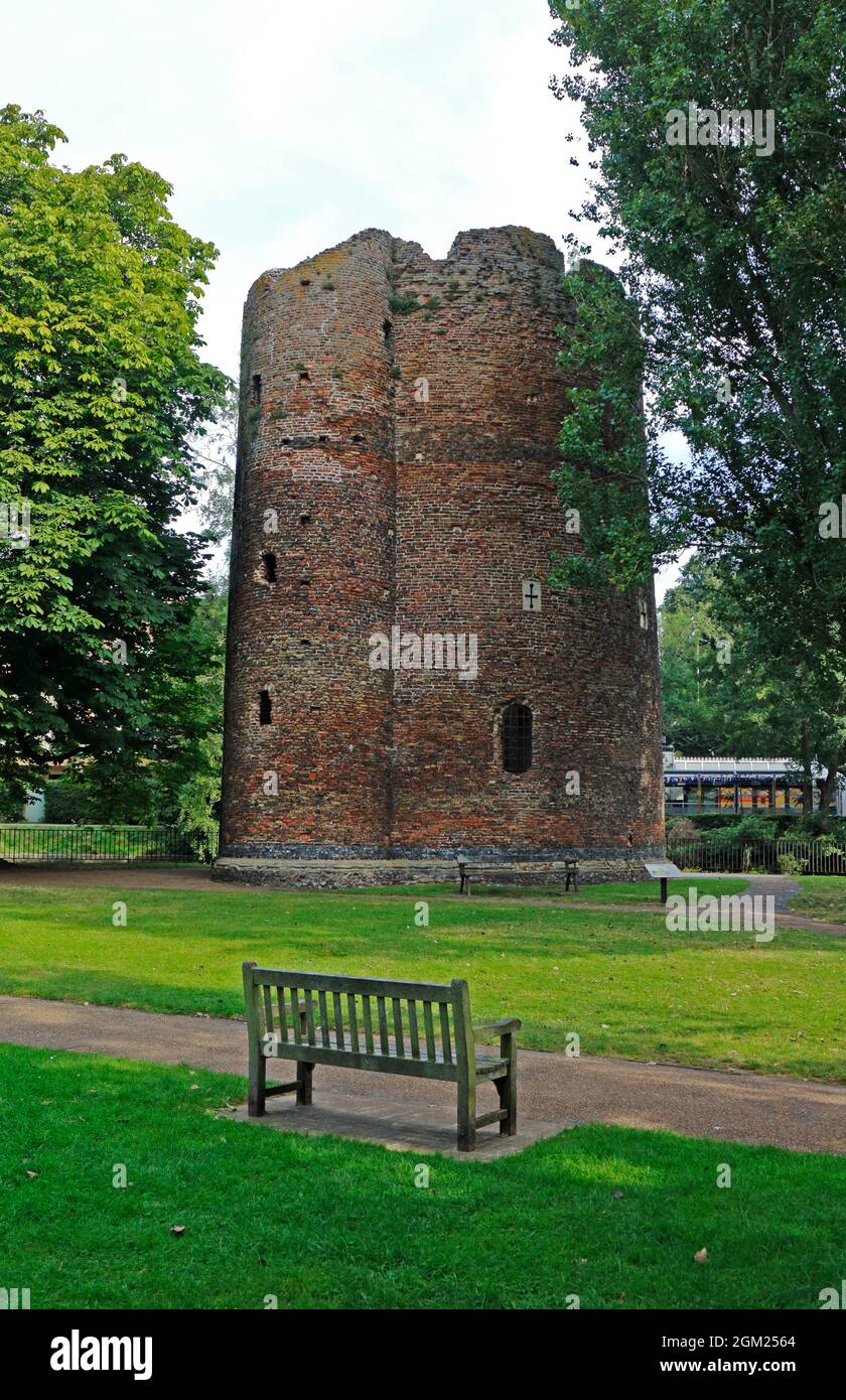 Vue sur les vestiges de la tour Cow, un blockhaus d'artillerie médiéval, au bord de la rivière Wensum à Norwich, Norfolk, Angleterre, Royaume-Uni. Banque D'Images
