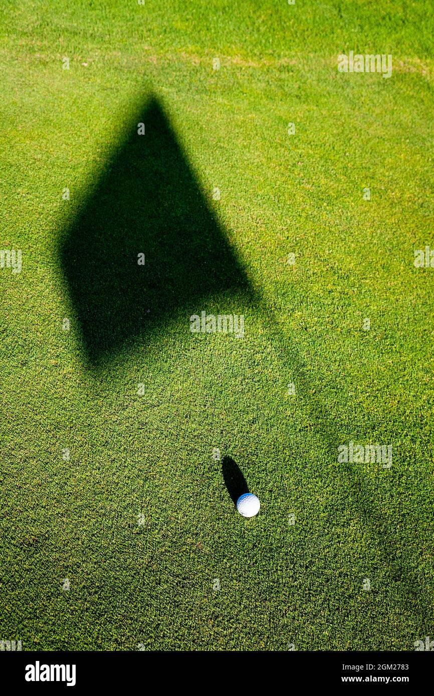 Balle de golf sur le green de mise par trou et drapeau. Ombres longues. 2008 Banque D'Images