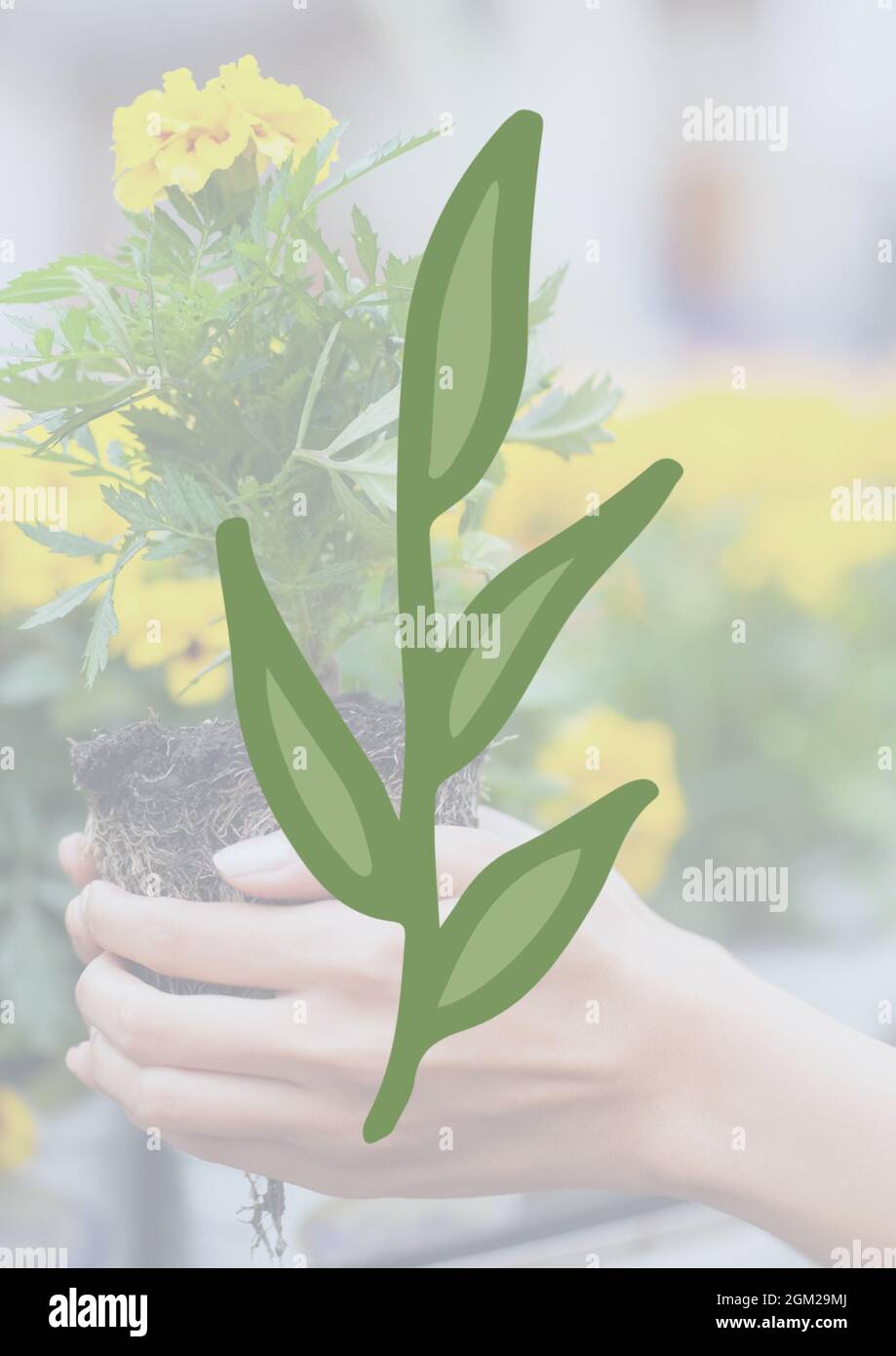 Tige avec icône de feuilles vertes contre la main tenant un échantillonnage de plante en arrière-plan Banque D'Images