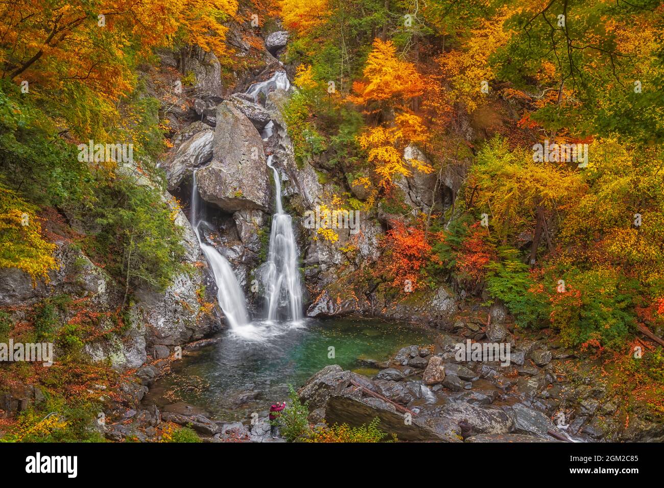 Bash Bish Falls Acolonne - le feuillage d'automne entoure la plus haute chute d'eau de l'État à Mount Washington, Massachusetts, Nouvelle-Angleterre. Cette image est al Banque D'Images