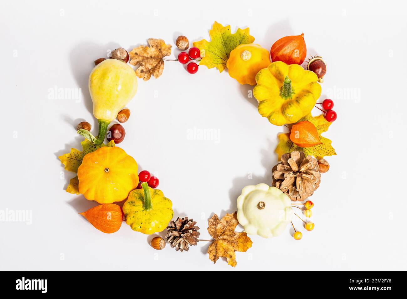 Couronne d'automne de citrouilles, de cônes, de noix, de feuilles d'automne et de baies isolées sur fond blanc. Composition créative de la pose à plat, faite à la main. Décoration d'intérieur Banque D'Images