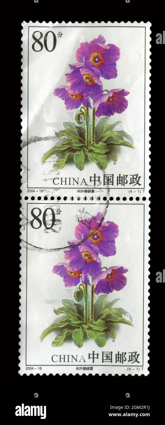 2 PCS SET Stamp imprimé en Chine montre l'image de l'armoise de céleri 2004-18, vers 2004. Banque D'Images