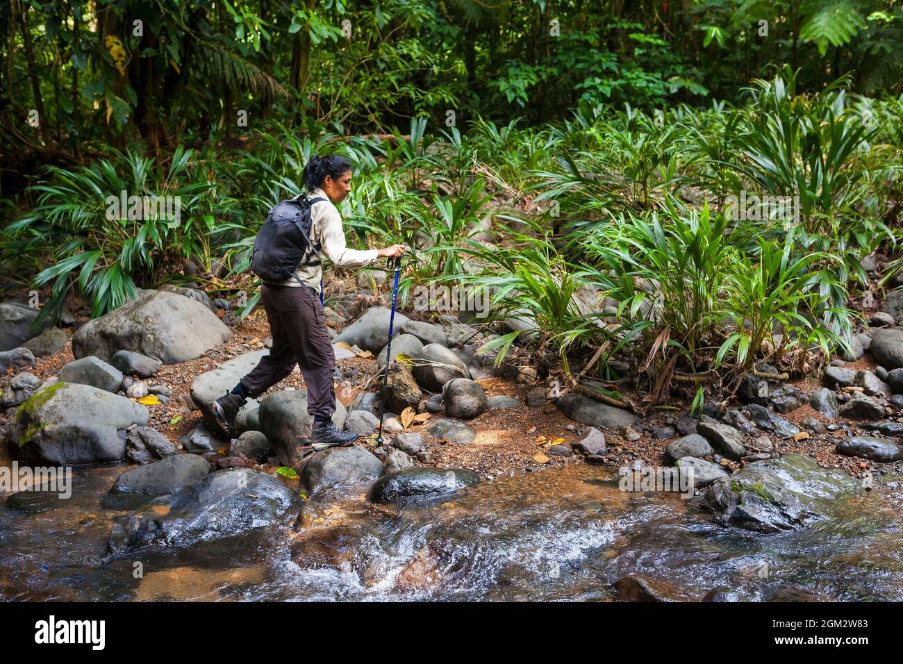Une femme panaméenne est en randonnée dans la forêt tropicale le long de l'ancien et surcultivé Camino Real Trail, République de Panama, Amérique centrale. Banque D'Images