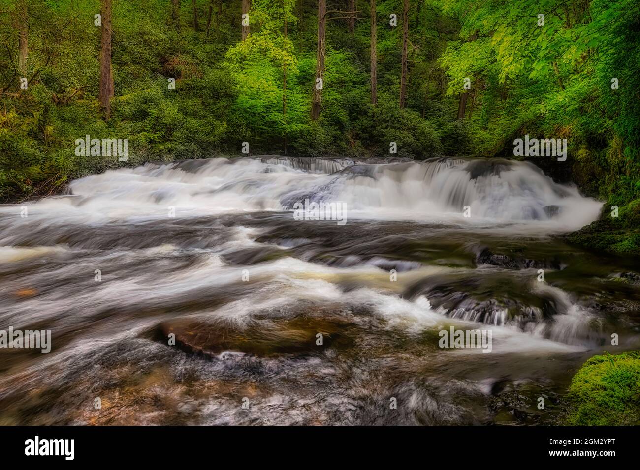 DWG Streams and Cascades - scène de chute d'eau de Serene avec le feuillage de printemps frais au Delware Water Gap. Cette image est également disponible en couleur Banque D'Images