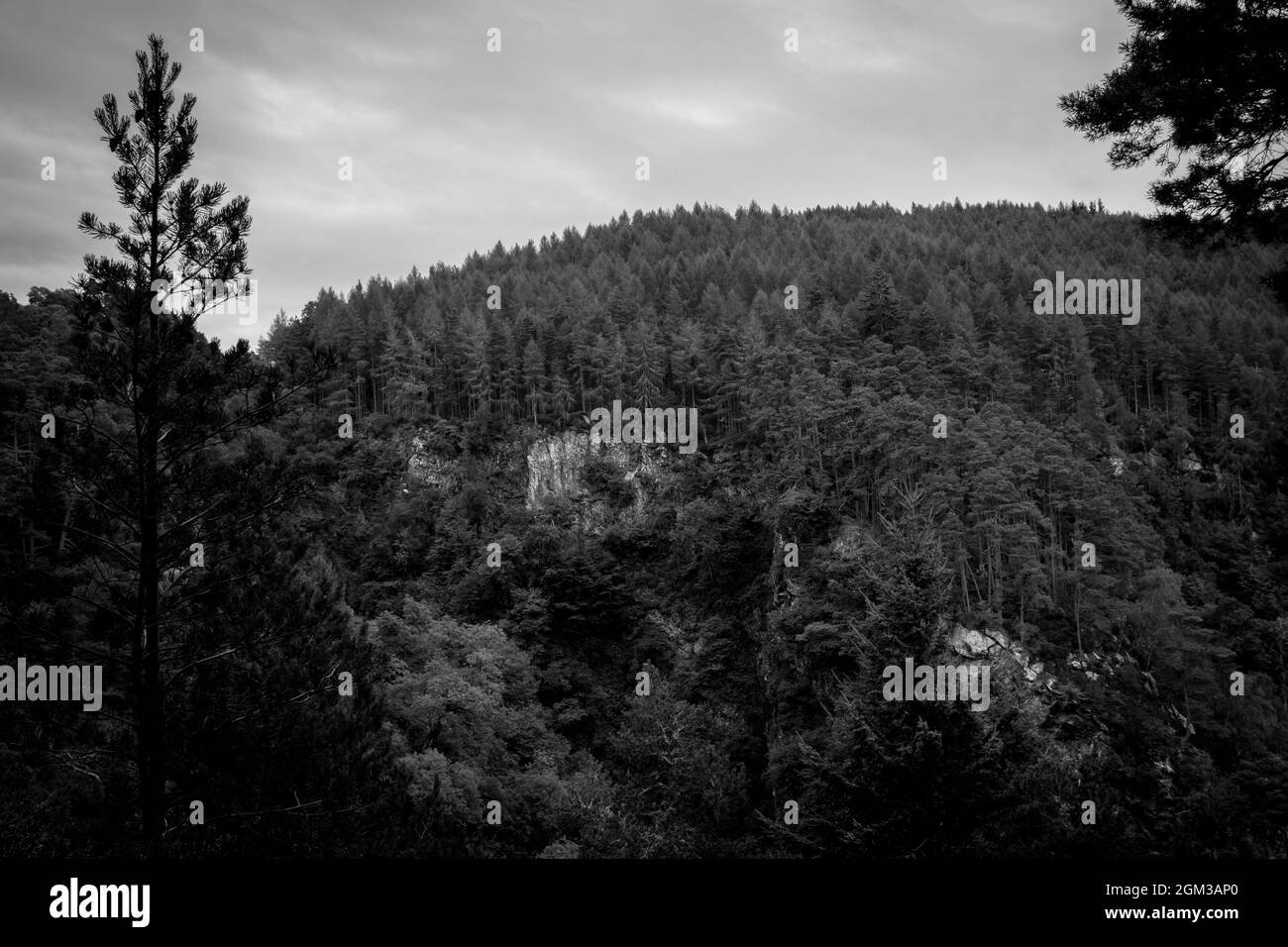 Bordure de falaise boisée à Foyers, Highlands écossais Banque D'Images
