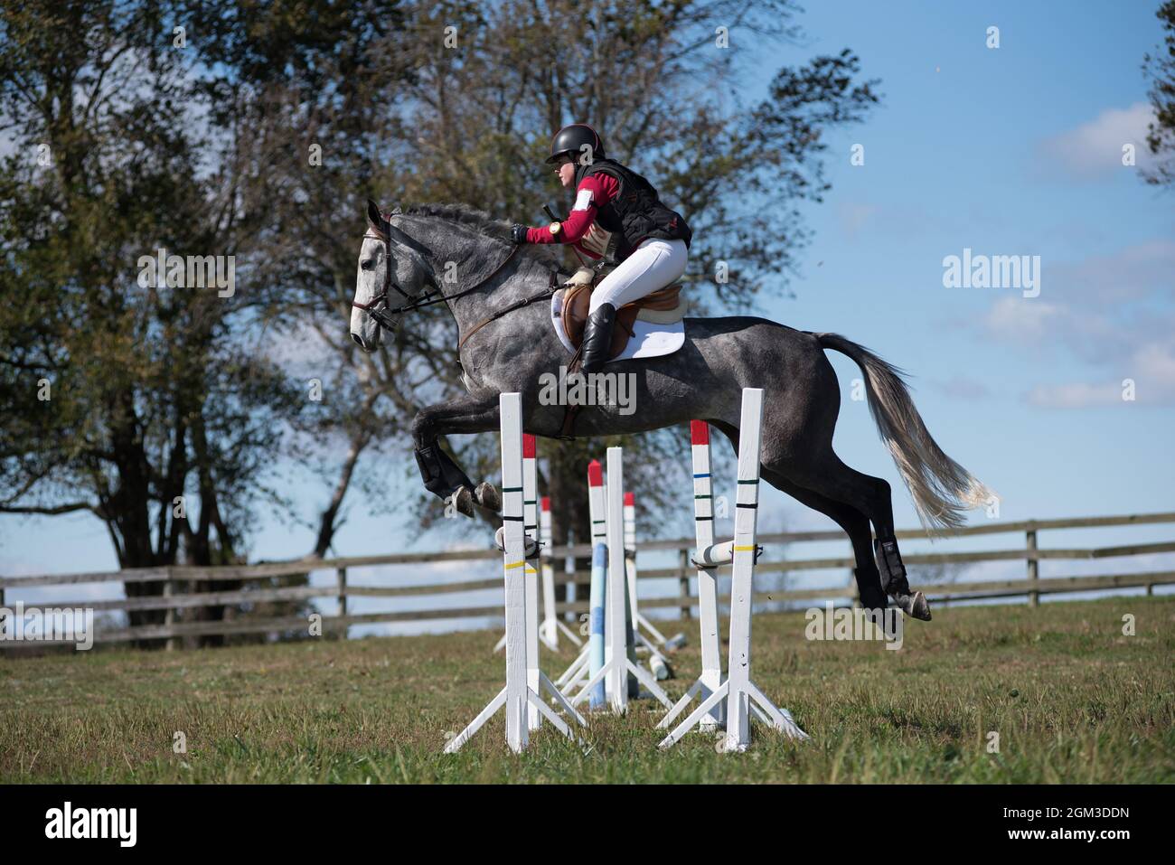 Photos de compétitions équestres, y compris le cavalier de chasseur et le cheval de fond cavaliers Banque D'Images