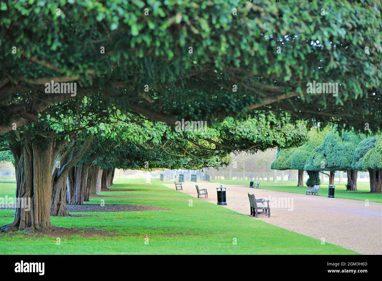 Hampton court Palace - jardins et jardins. Banque D'Images