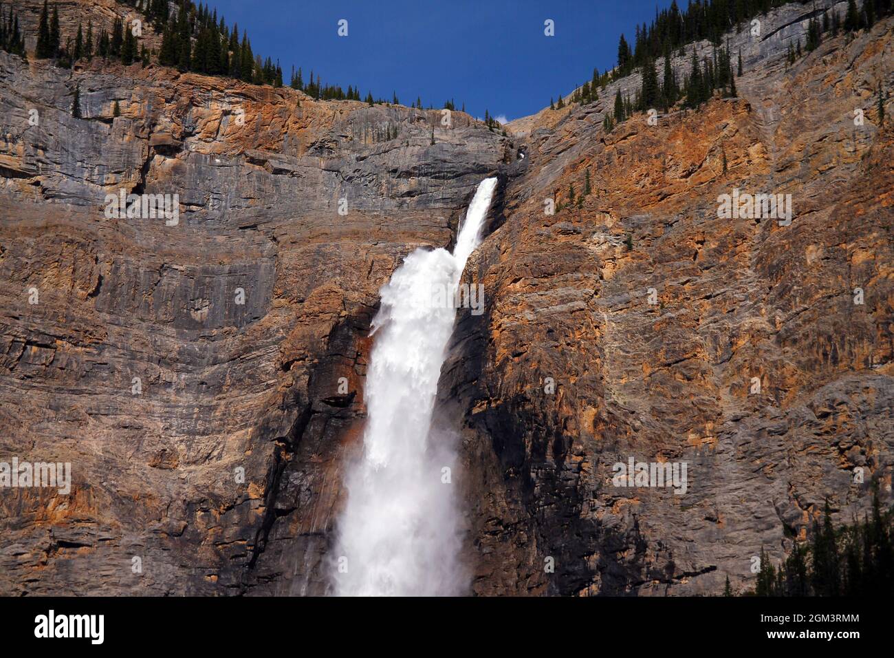 La puissance de l'eau dans les chutes Takakkaw dans le parc national Yoho Banque D'Images