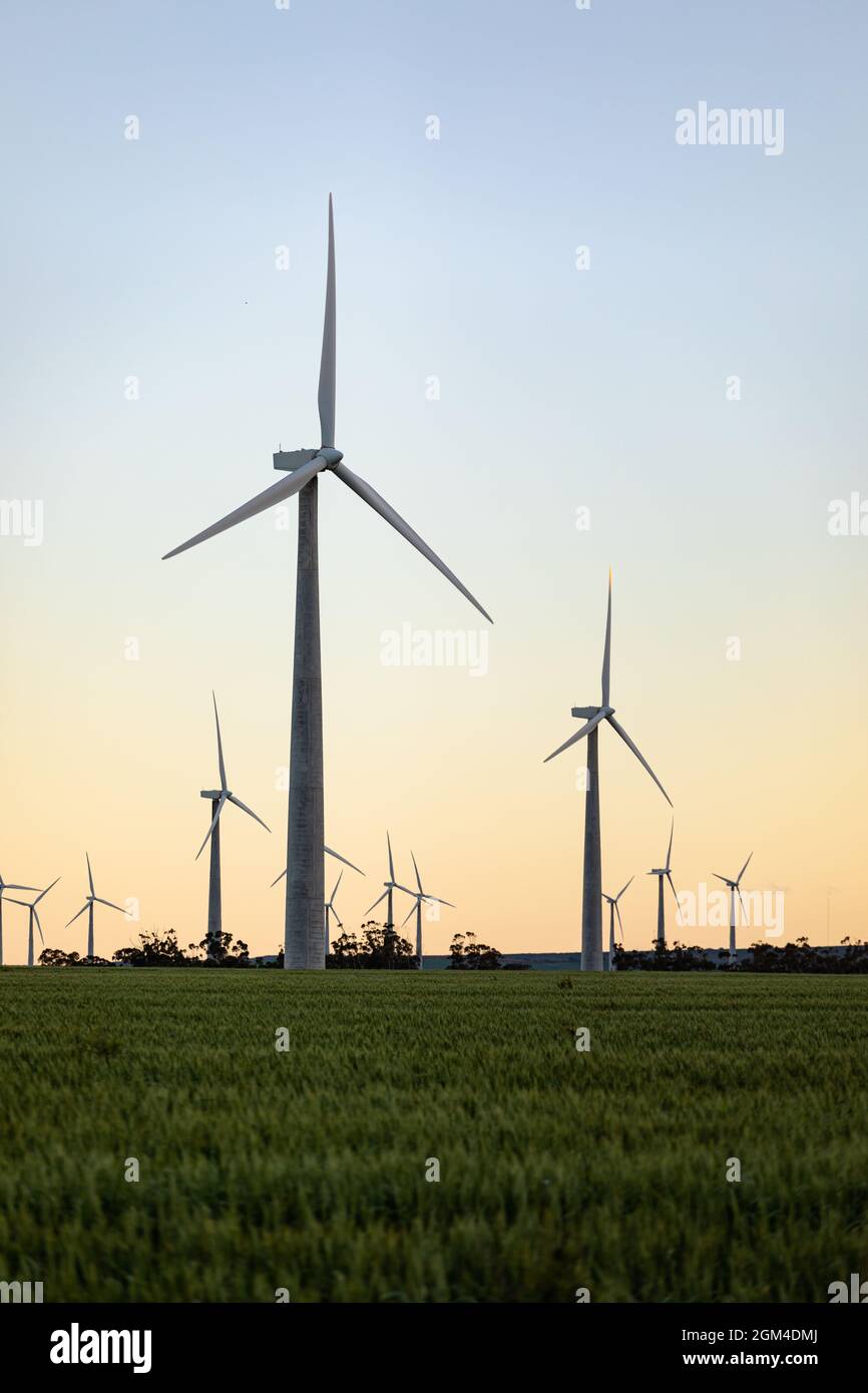 Vue générale des éoliennes dans un paysage de campagne avec ciel sans nuages Banque D'Images