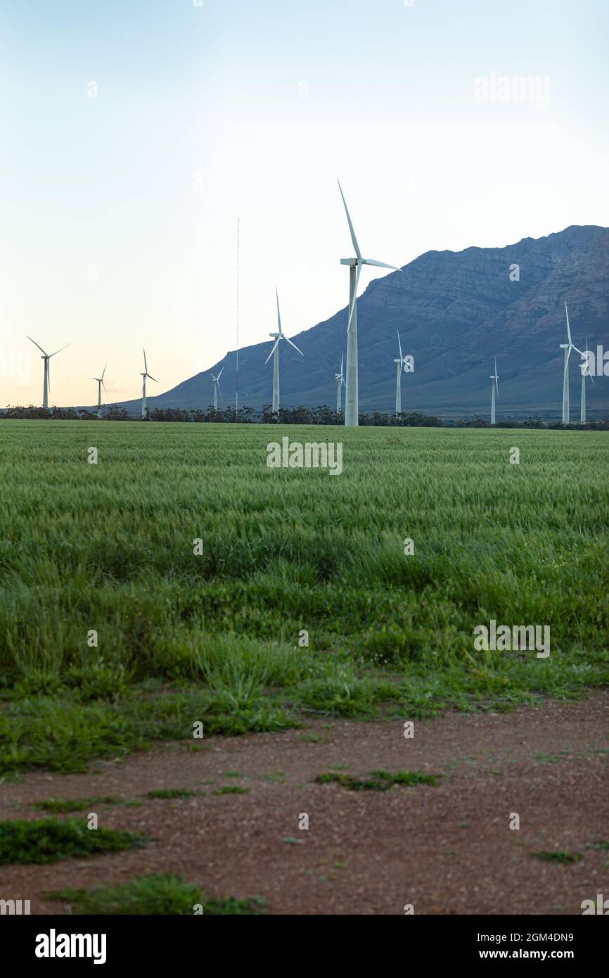 Vue générale des éoliennes dans un paysage de campagne avec ciel sans nuages Banque D'Images