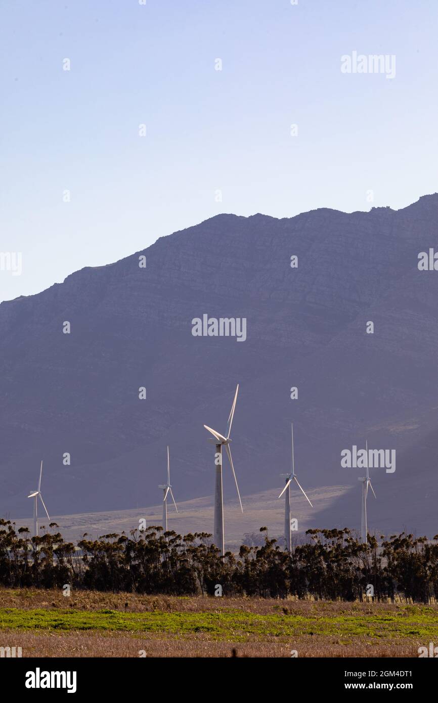 Vue générale des éoliennes dans un paysage de campagne avec ciel sans nuages Banque D'Images