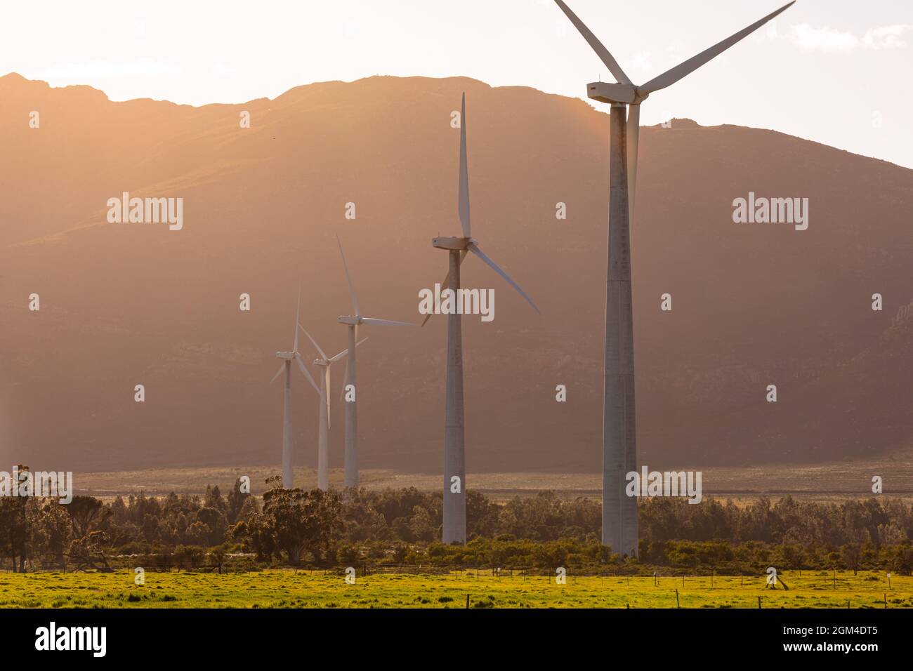 Vue générale des éoliennes dans un paysage de campagne avec ciel sans nuages Banque D'Images