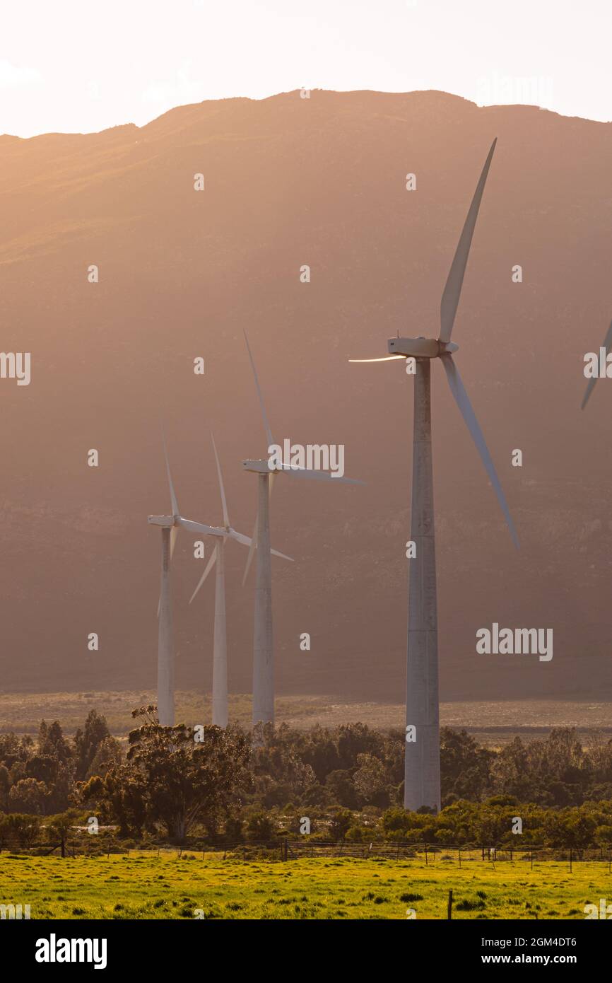 Vue générale des éoliennes dans un paysage de campagne avec ciel sans nuages Banque D'Images