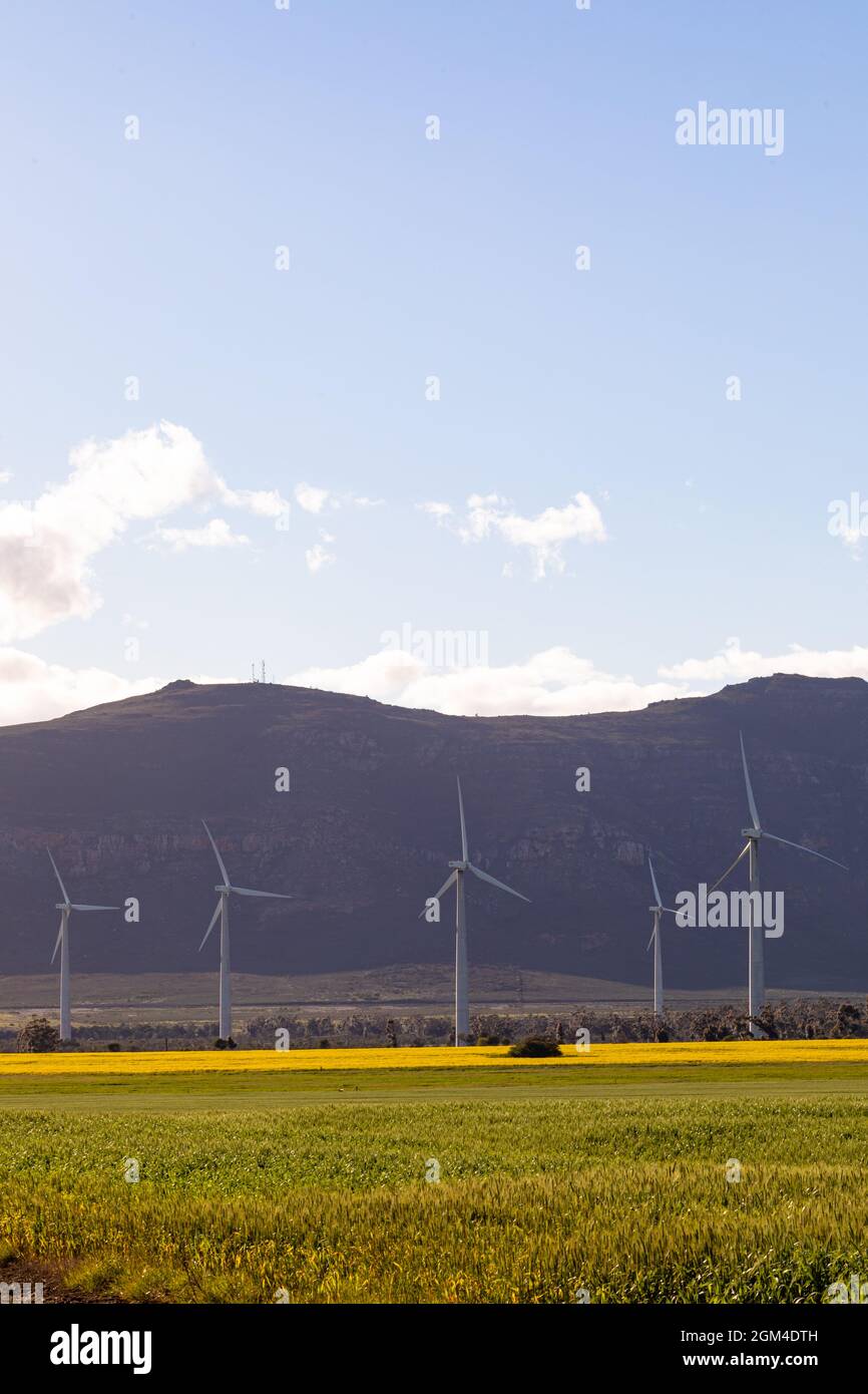 Vue générale des éoliennes en paysage de campagne avec ciel nuageux Banque D'Images