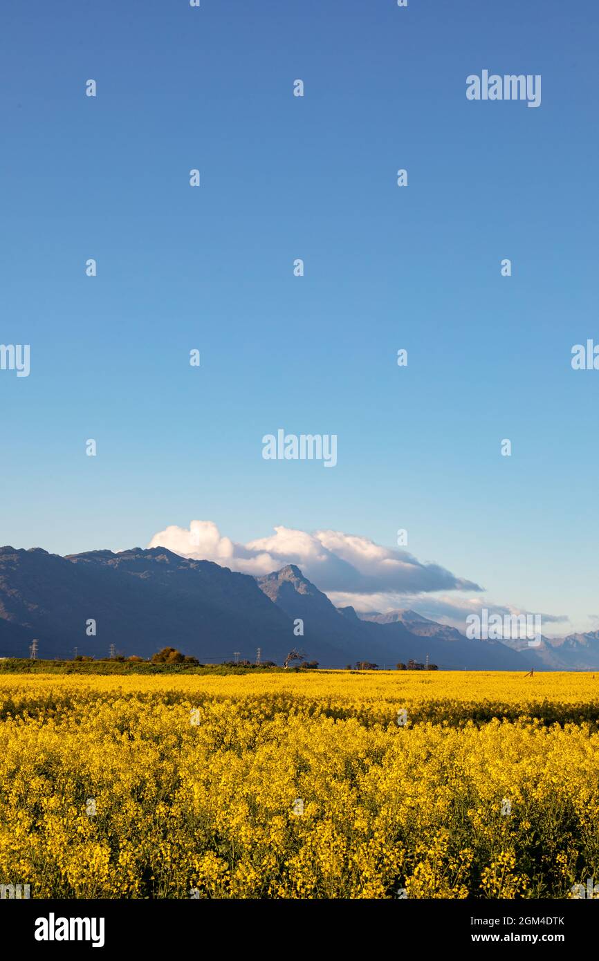 Vue générale du paysage de campagne avec ciel sans nuages Banque D'Images
