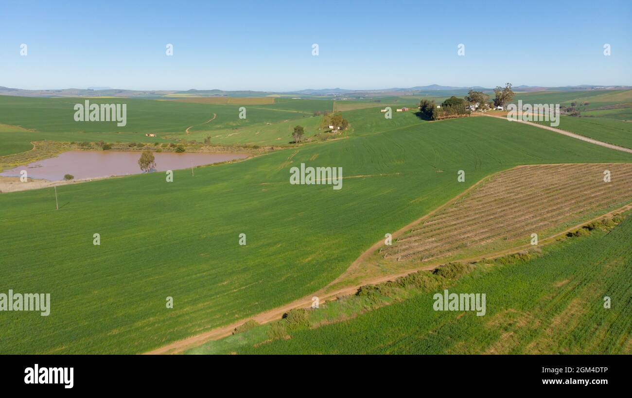 Vue générale du paysage de campagne avec ciel sans nuages Banque D'Images