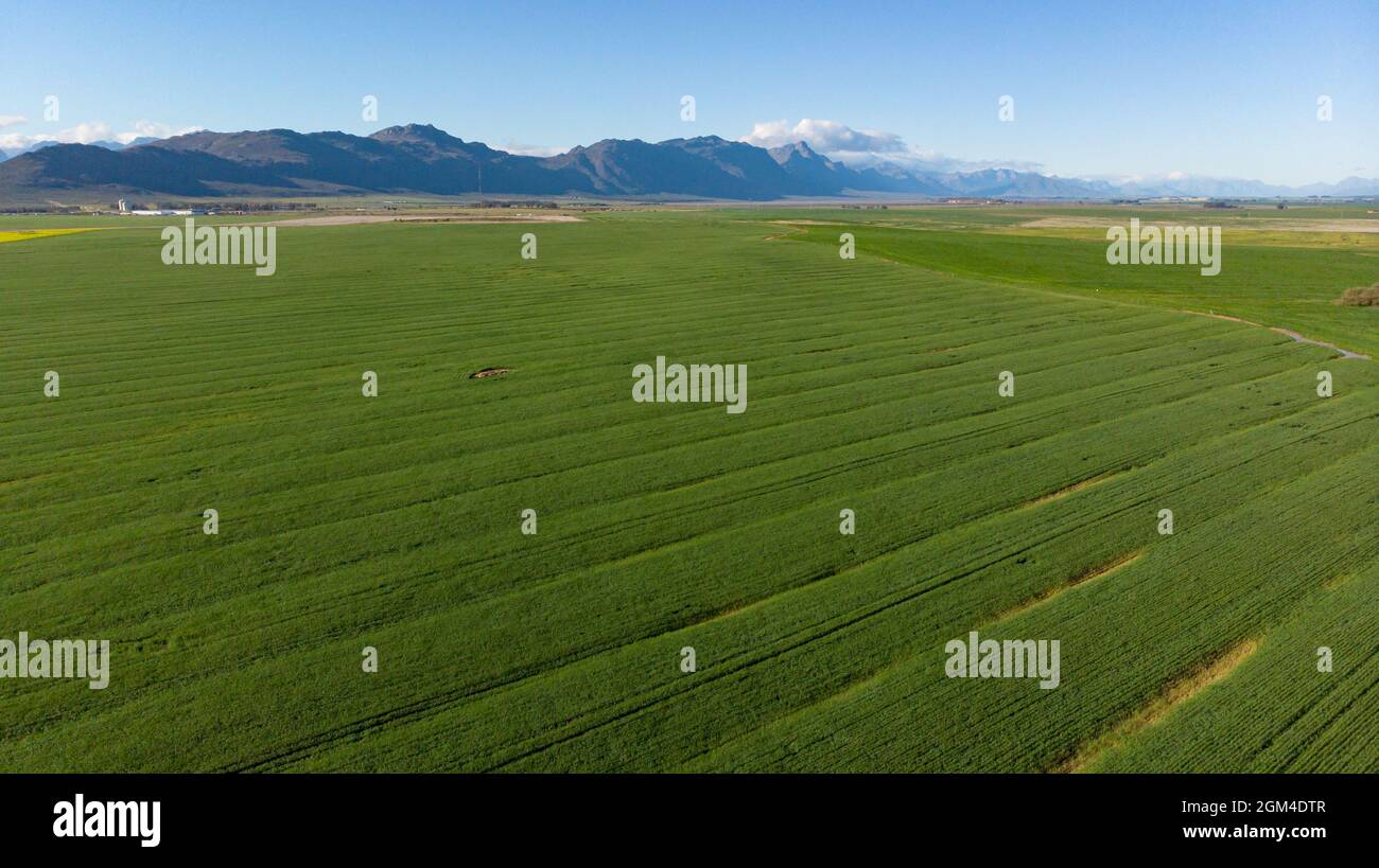 Vue générale du paysage de campagne avec ciel sans nuages Banque D'Images