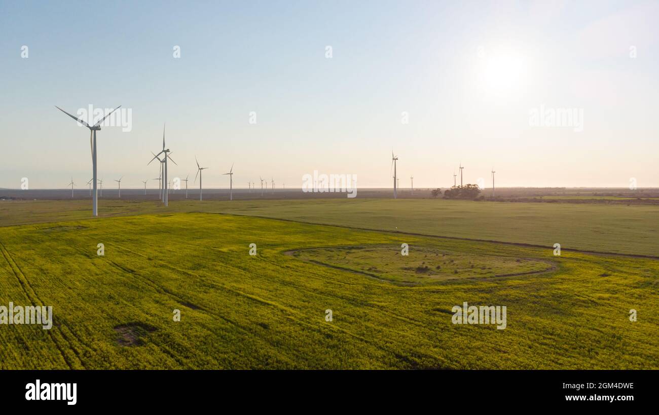 Vue générale des éoliennes dans un paysage de campagne avec ciel sans nuages Banque D'Images