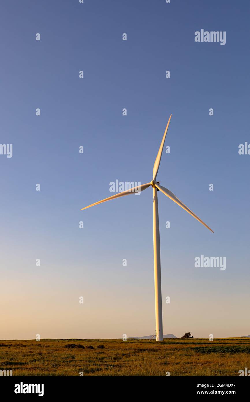 Vue générale de l'éolienne dans le paysage de campagne avec ciel sans nuages Banque D'Images