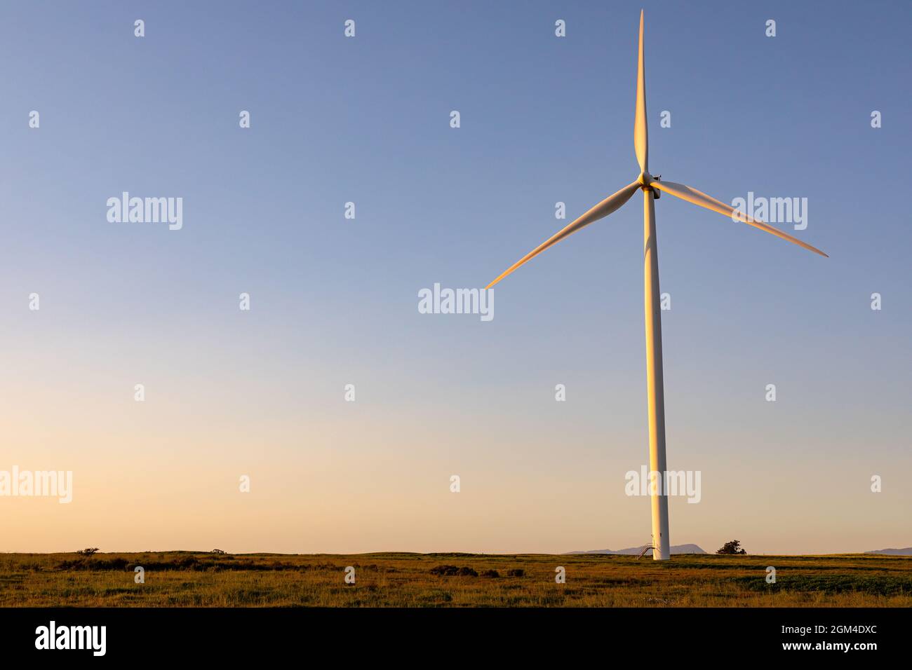 Vue générale de l'éolienne dans le paysage de campagne pendant le coucher du soleil Banque D'Images