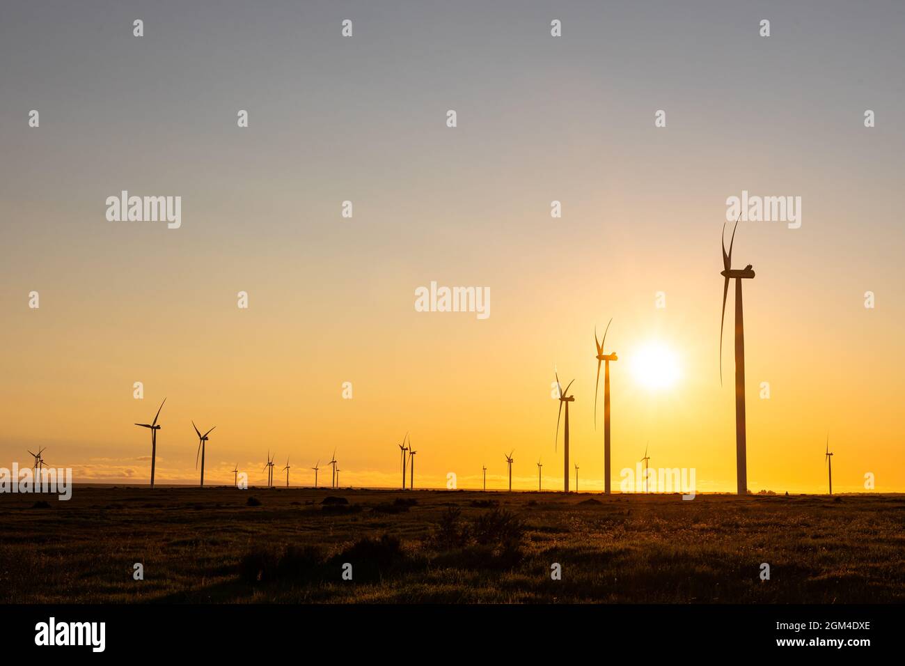 Vue générale des éoliennes en paysage de campagne au coucher du soleil Banque D'Images