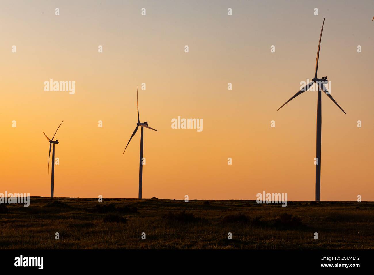 Vue générale des éoliennes en paysage de campagne au coucher du soleil Banque D'Images