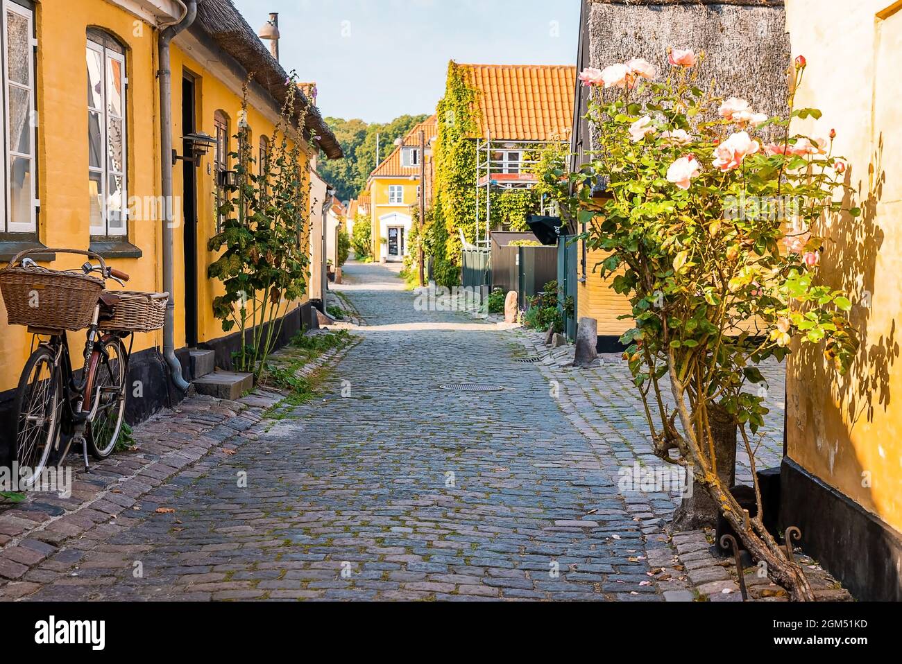 Belles petites maisons jaunes rustiques. Style scandinave traditionnel. Banque D'Images