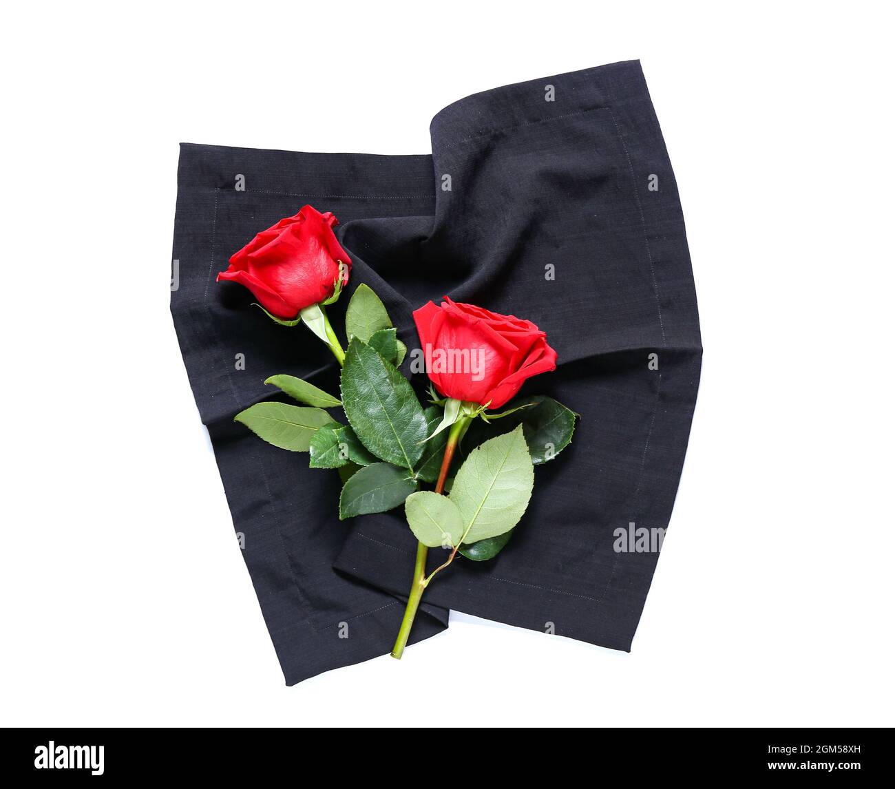 Belles roses et serviette sur fond blanc Banque D'Images