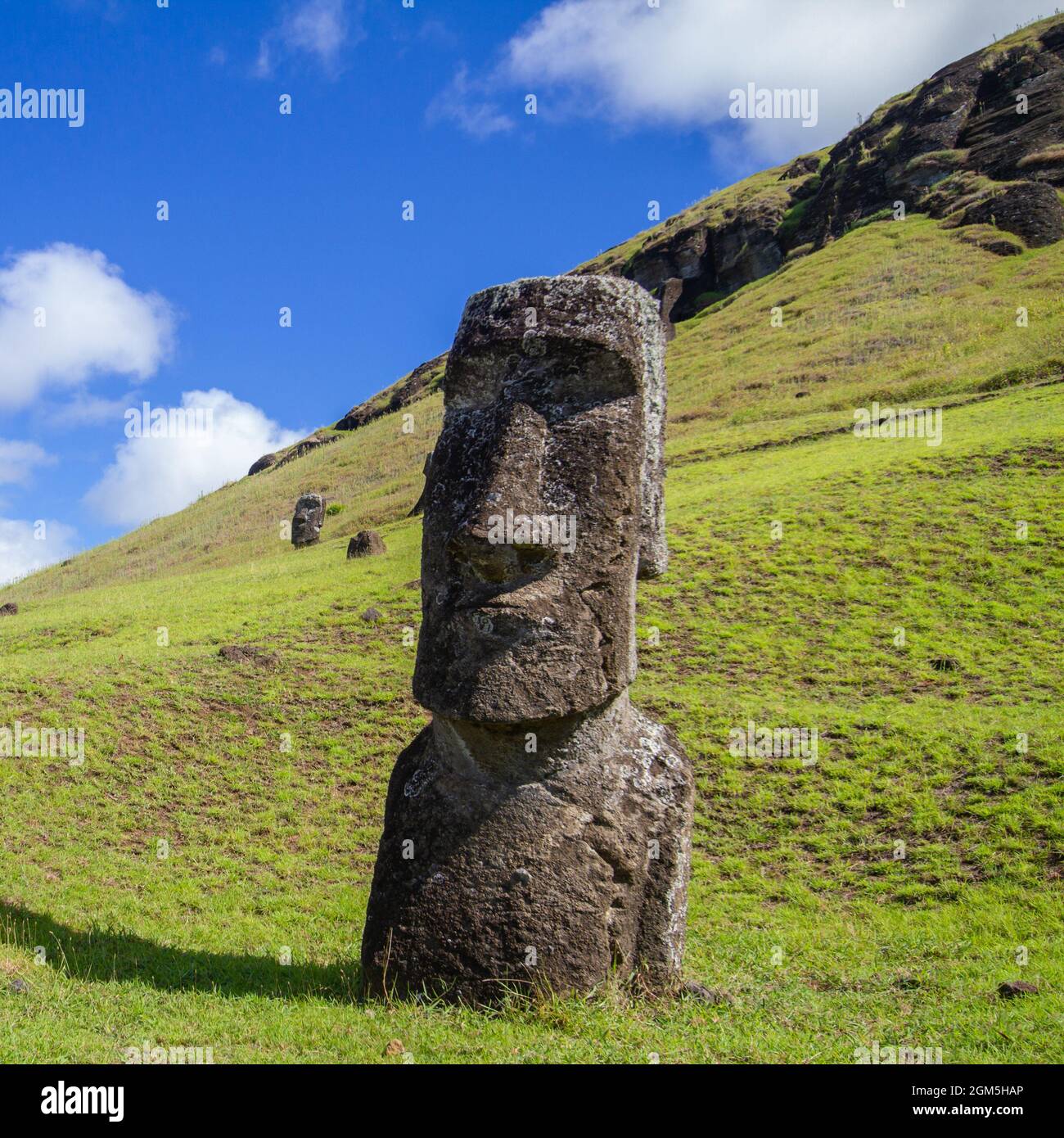 Sculptures en pierre de Moai à Rano Raraku, île de Pâques, Chili. Banque D'Images