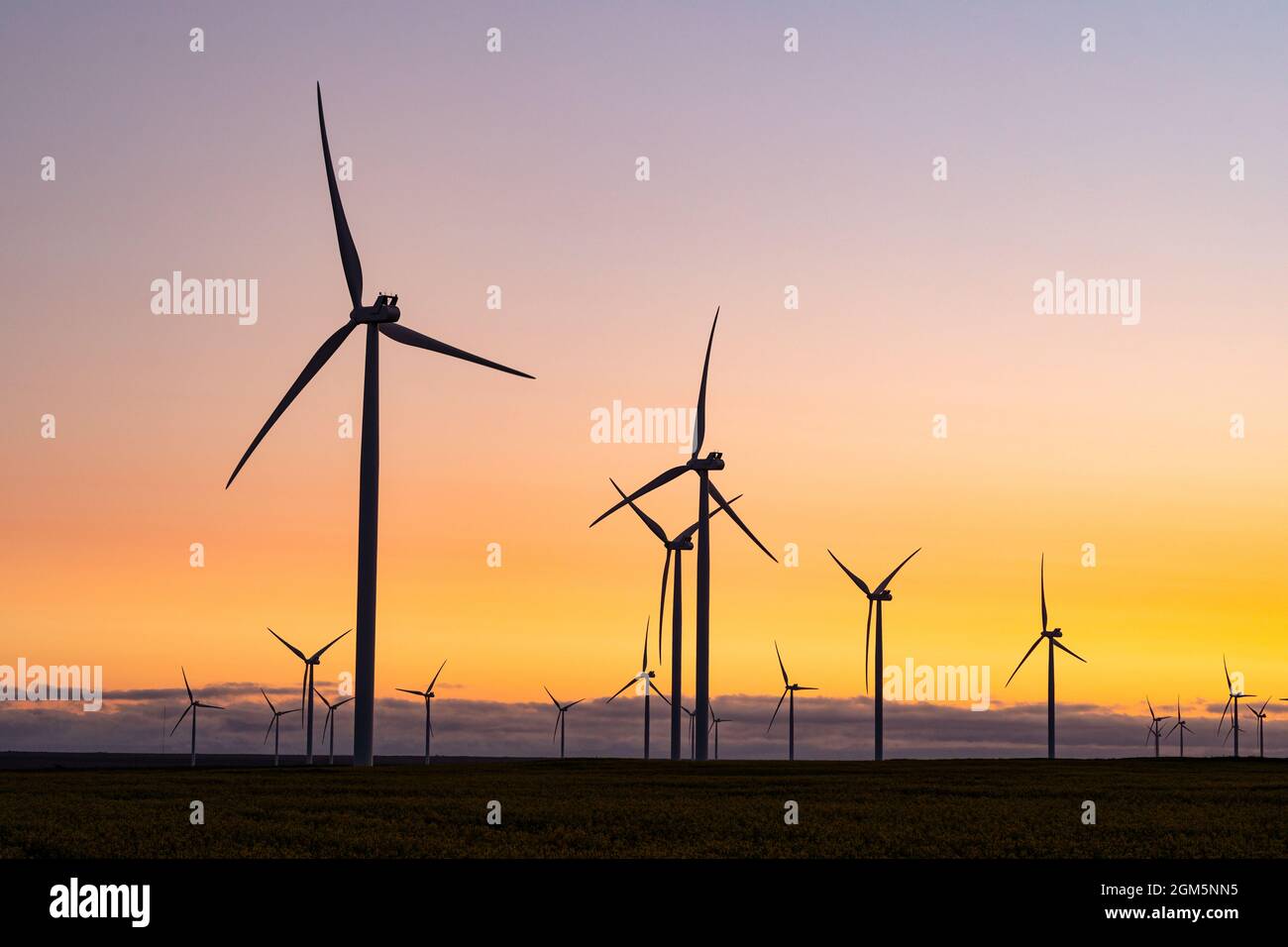 Vue générale des éoliennes en paysage de campagne au coucher du soleil Banque D'Images