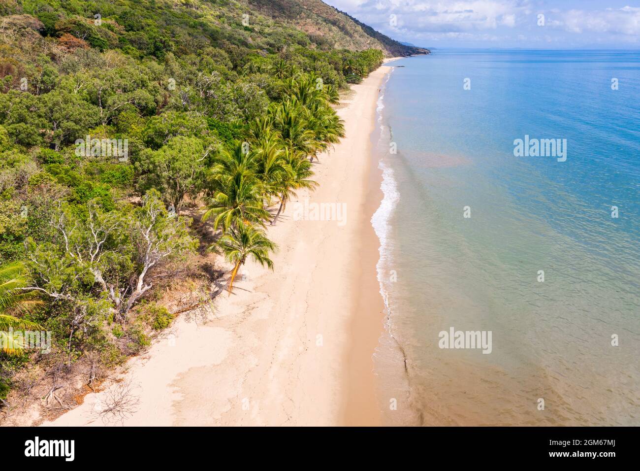 Vue aérienne d'Ellis Beach, située entre Cairns et Port Douglas, dans la région tropicale du nord du Queensland Banque D'Images