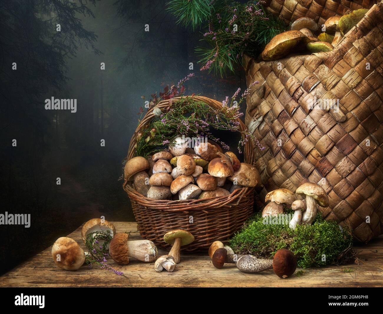 Automne encore la vie avec des champignons Banque D'Images