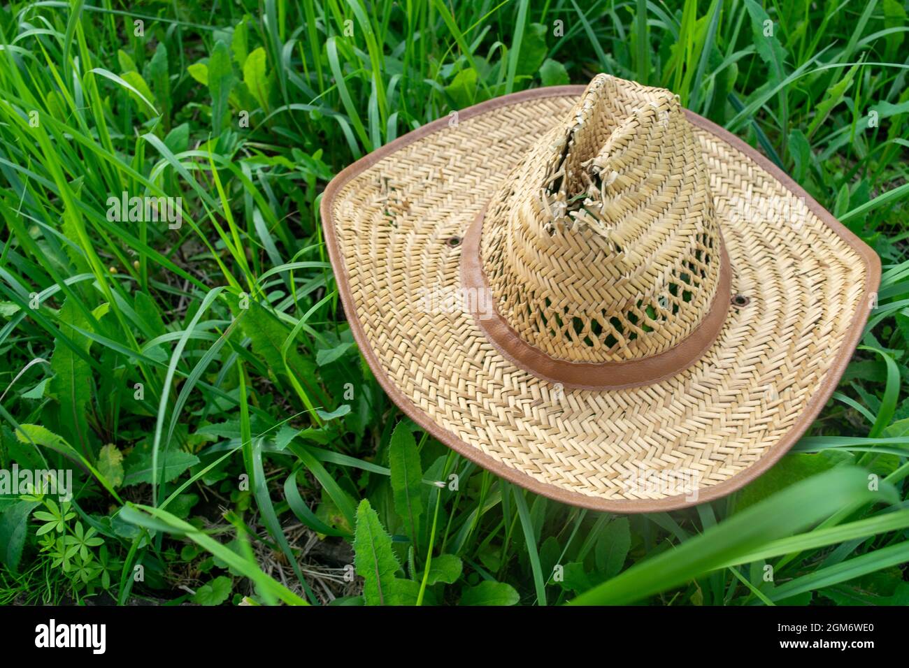 Un vieux chapeau de paille sur l'herbe verte, gros plan, mise au point sélective Banque D'Images
