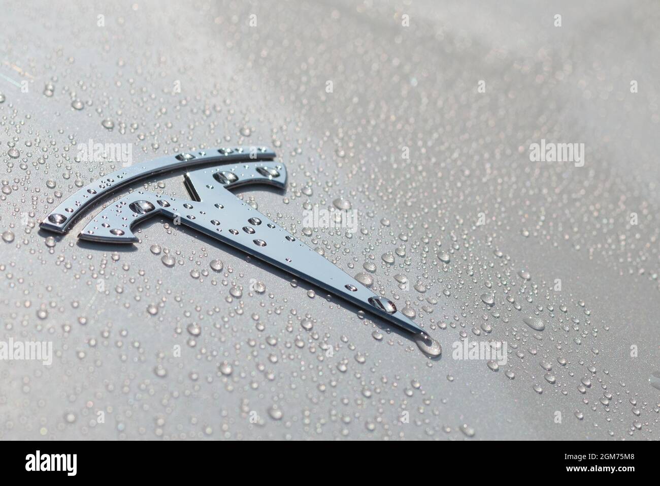 Logo Tesla sur le capot d'une voiture avec gouttes de pluie gros plan, conception de voiture électrique. Logo et enseigne de voiture électrique Tesla Motors. Banque D'Images