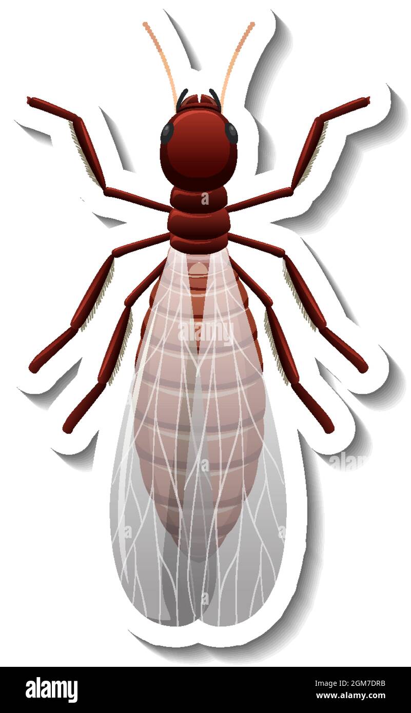 Un modèle d'autocollant avec vue de dessus de l'illustration isolée de termite reproductrice ailée Illustration de Vecteur
