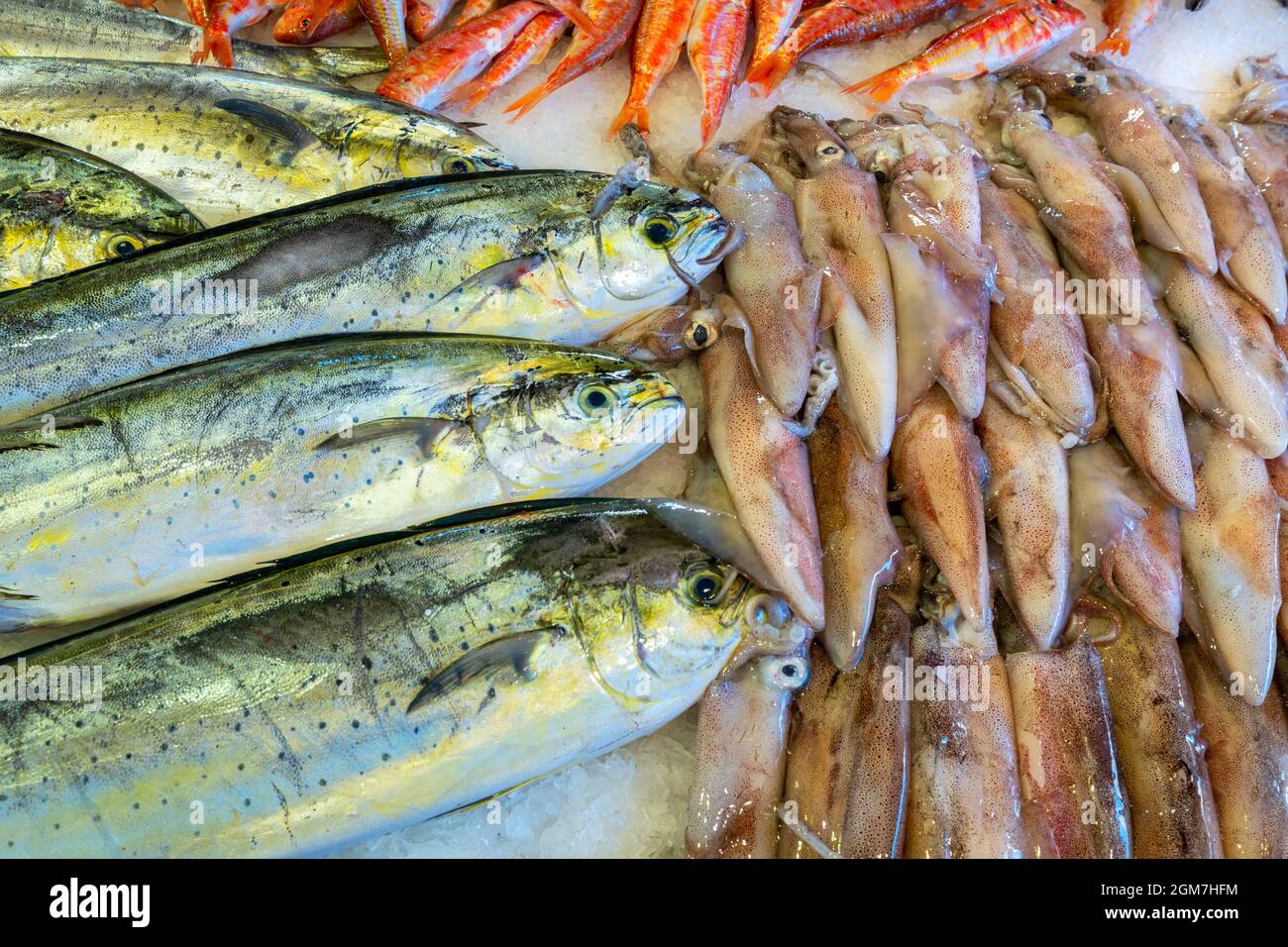 Poisson frais et calmar dans un plateau au marché de poissons de Catane la Pescheria di Sant Agata. Sicile, Italie Banque D'Images
