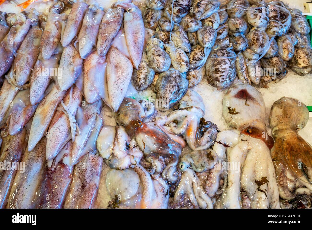 Calmars frais, seiches et poulpes dans un plateau au marché aux poissons de Catane la Pescheria di Sant Agata. Sicile, Italie Banque D'Images