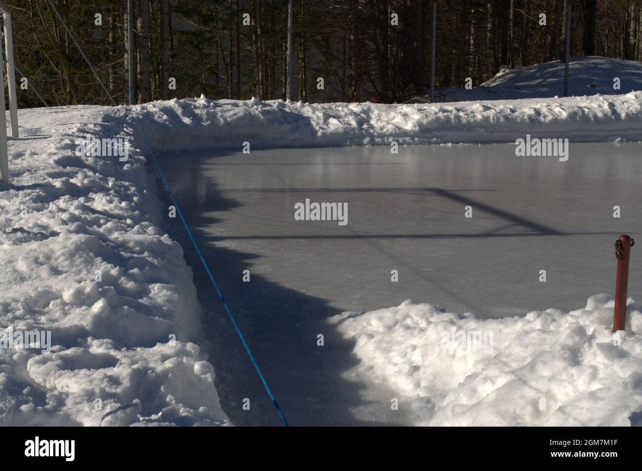 Paysage d'hiver dans les montagnes neige arbres gelé lac avec des oiseaux Banque D'Images