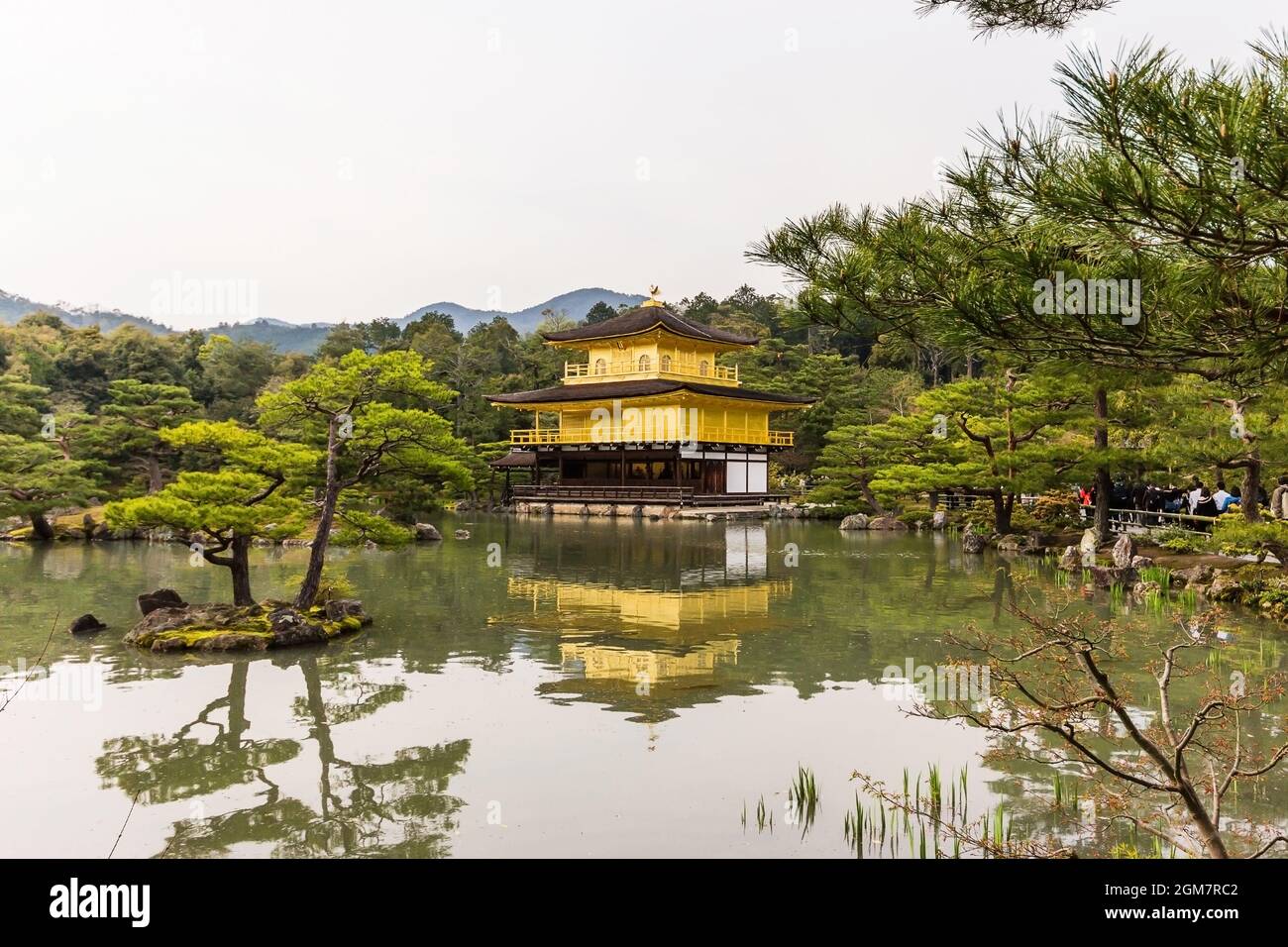 Belle architecture au temple de Kinkakuji (le Pavillon d'or) à Kyoto, Pavillon d'or au temple de Kinkakuji à Kyoto, Japon Banque D'Images