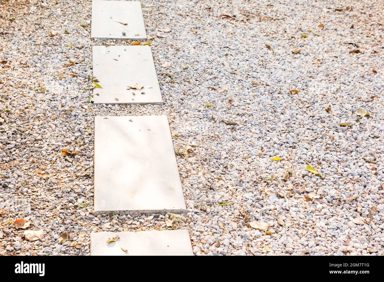 Allée vide chemin en béton sur sol en pierre dans le jardin par beau soleil brumeux Banque D'Images