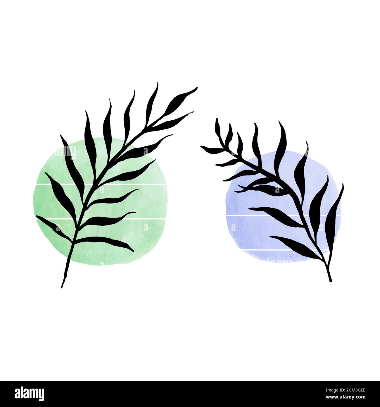 Placez les feuilles tropicales sur un fond de cercles abstraits.Illustration de vecteur stock isolée sur fond blanc. Illustration de Vecteur