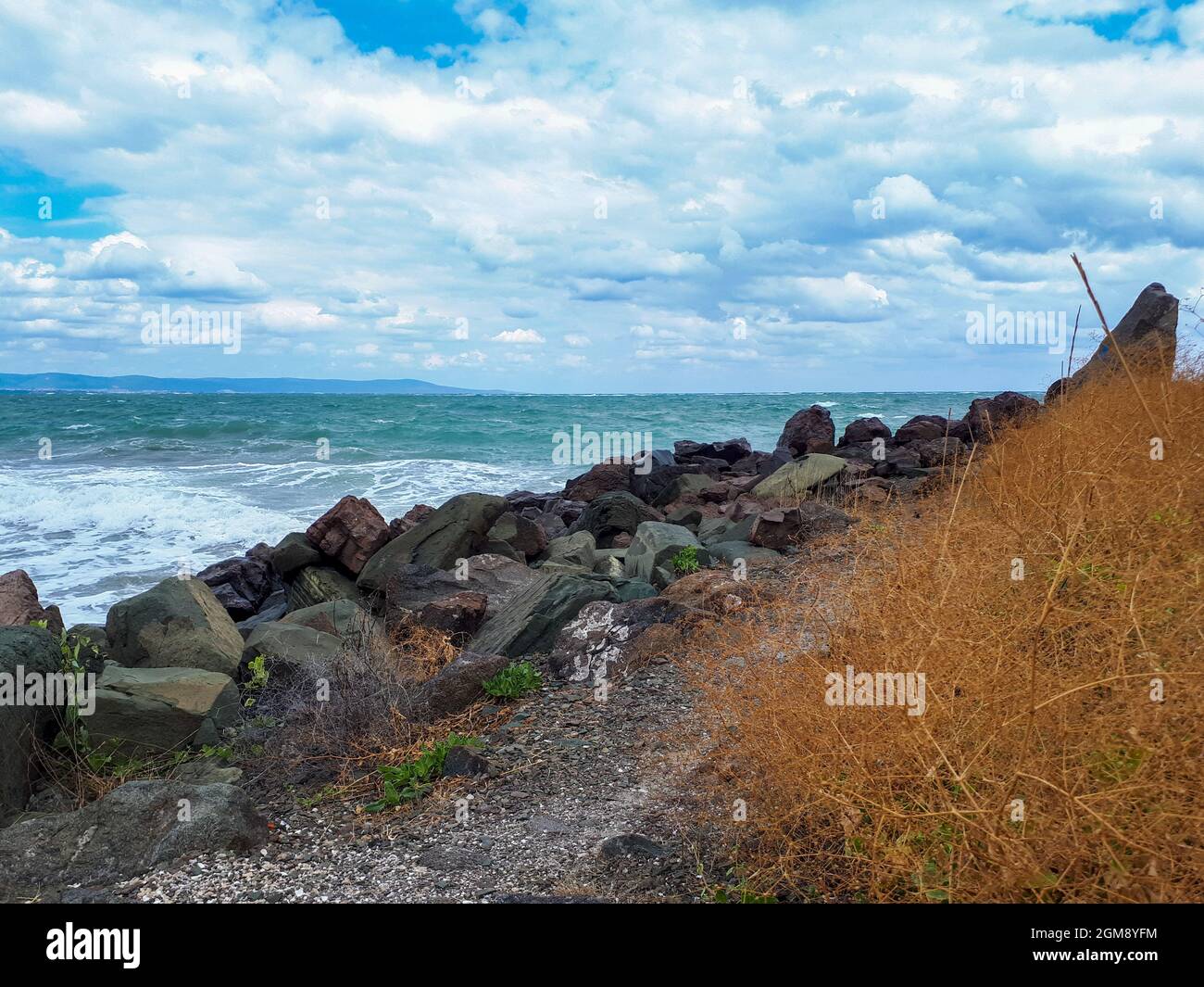 Côte rocheuse avec des plantes à la mer Noire contre ciel nuageux à Pomorie, Burgas Bay, Bulgarie. Banque D'Images