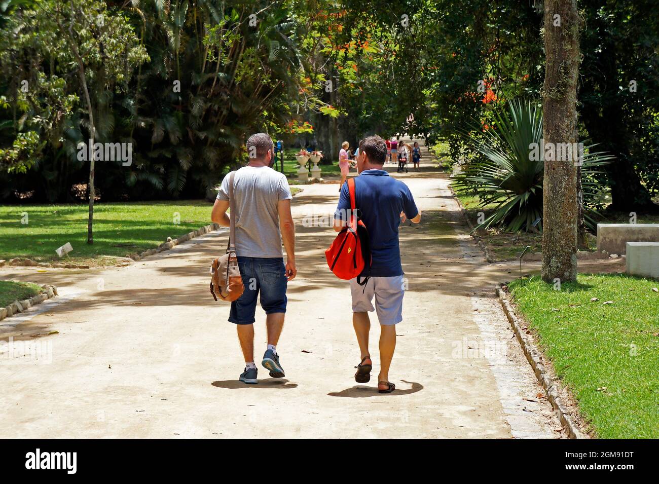 RIO DE JANEIRO, BRÉSIL - 1er DÉCEMBRE 2019 : couple d'hommes gais marchant dans le parc Banque D'Images