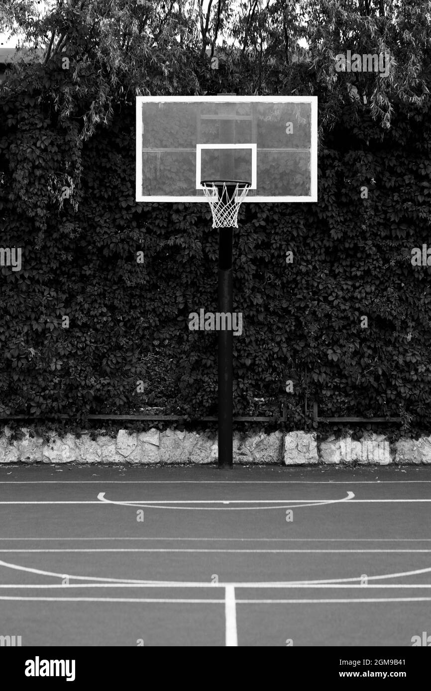 Panier de basket-ball rouge avec filet et fond de feuilles vertes. Concept sport Banque D'Images