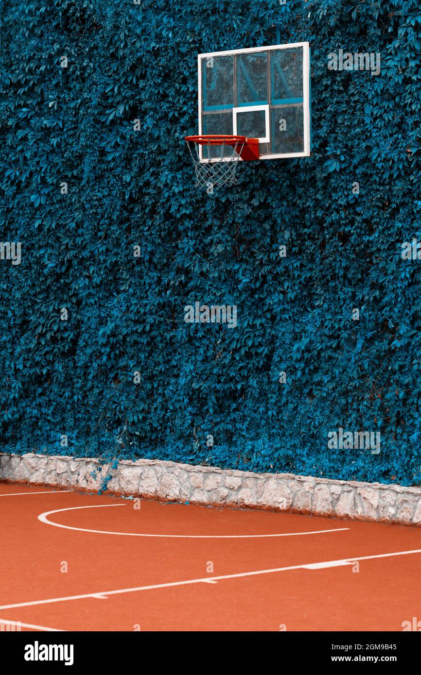 Panier de basket-ball rouge avec filet et fond de feuilles vertes. Concept sport Banque D'Images